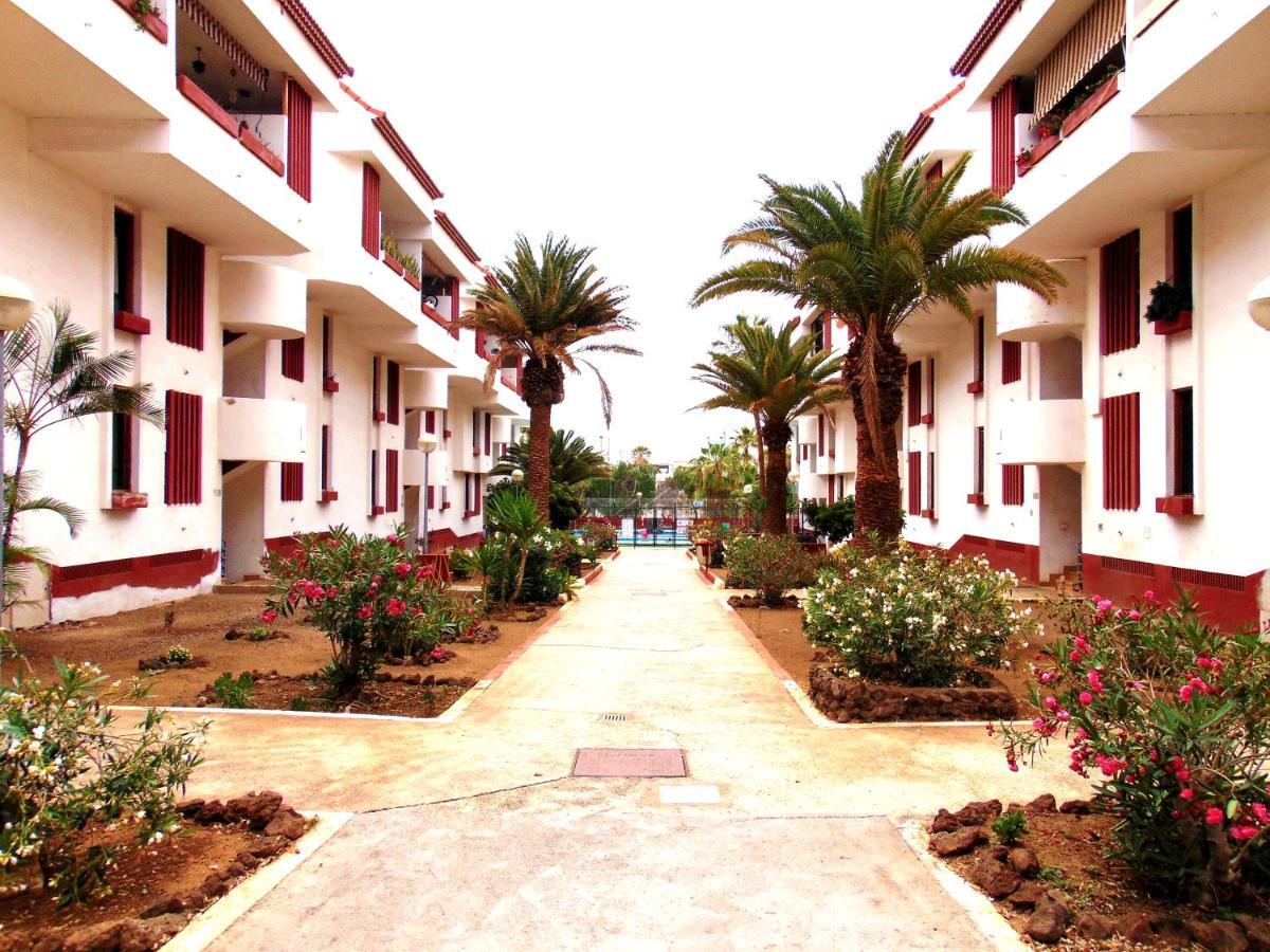 Apartment Altemar In Las Americas Playa de las Americas  Eksteriør bilde